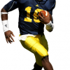 Denard Robinson